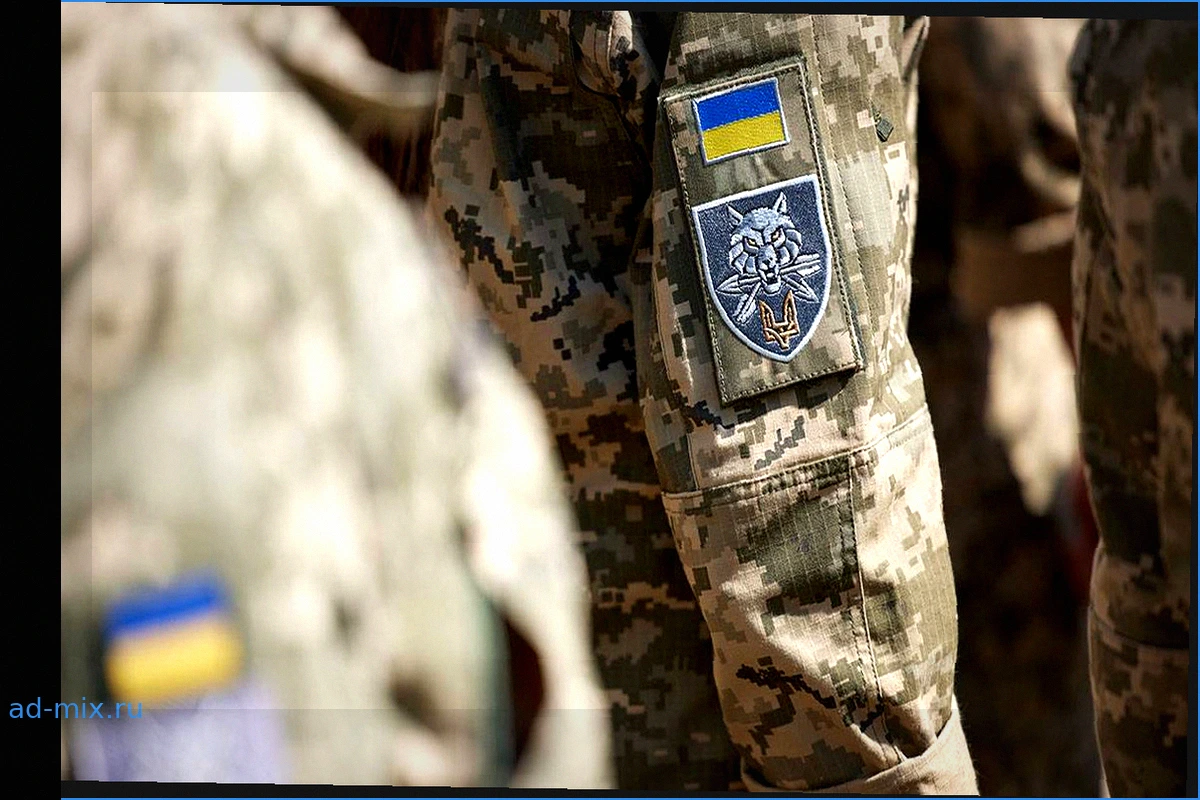 Украинские военные и онлайн-казино: финансирование «черной кассы» и доходы семьи генерала