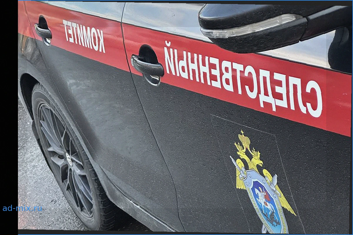 Нападавший на посетителей торгового центра в Краснодаре признал вину