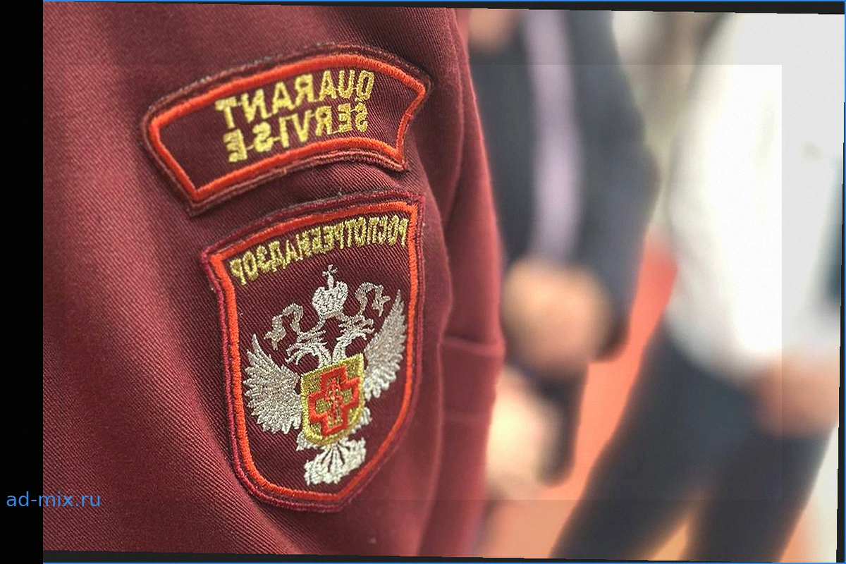 Пик распространения хантавируса Андес приходится на лето