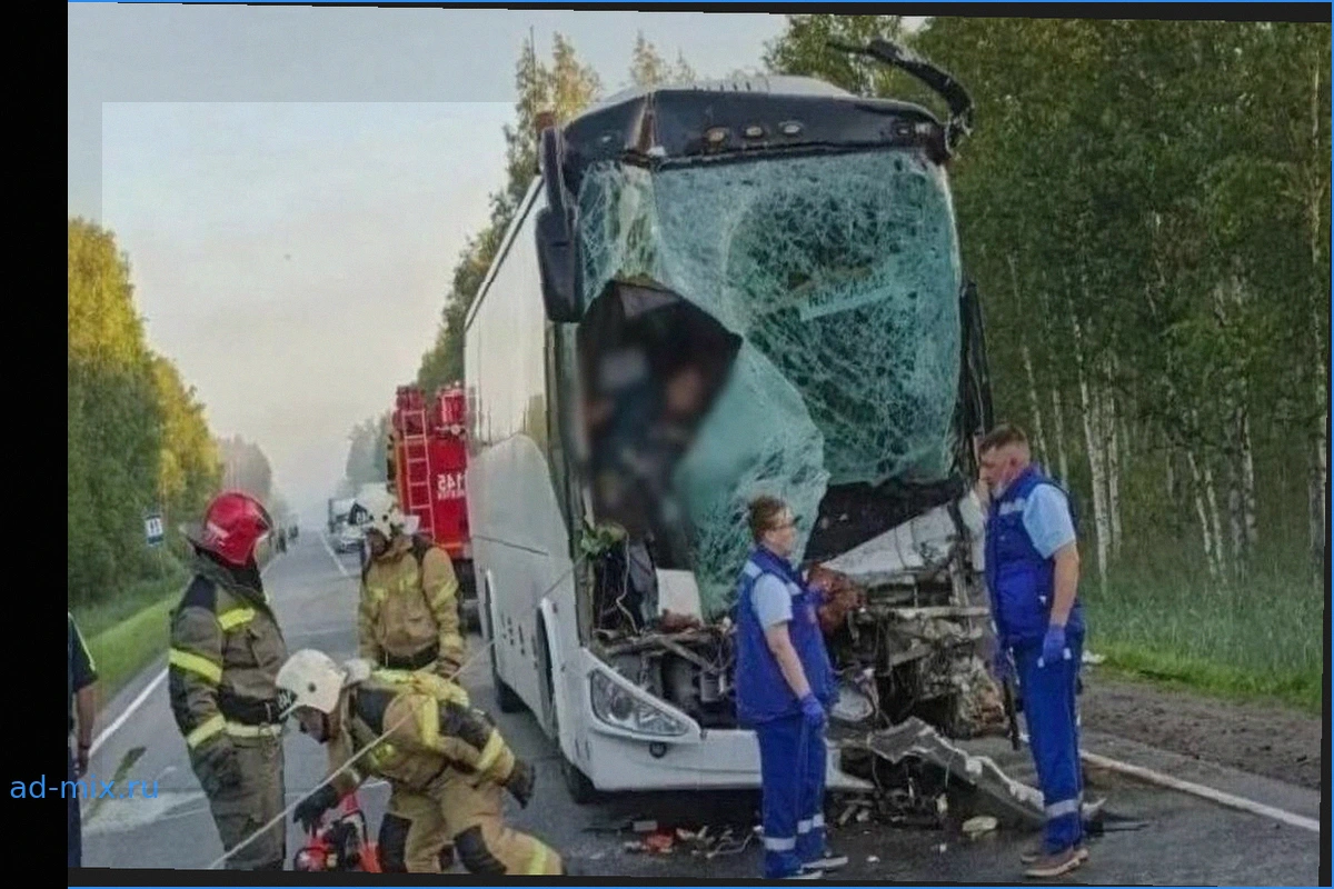 Один погибший, 11 пострадавших в ДТП с автобусом и грузовиком под Тюменью