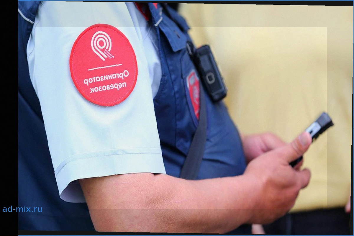 Жителю Москвы предъявили обвинение за оскорбления и угрозы контролеру