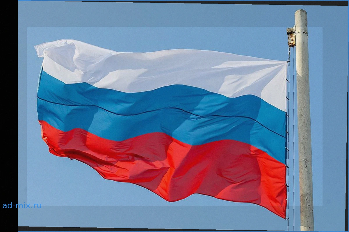 Сборная России по прыжкам на батуте отказывается от Кубка мира в Португалии
