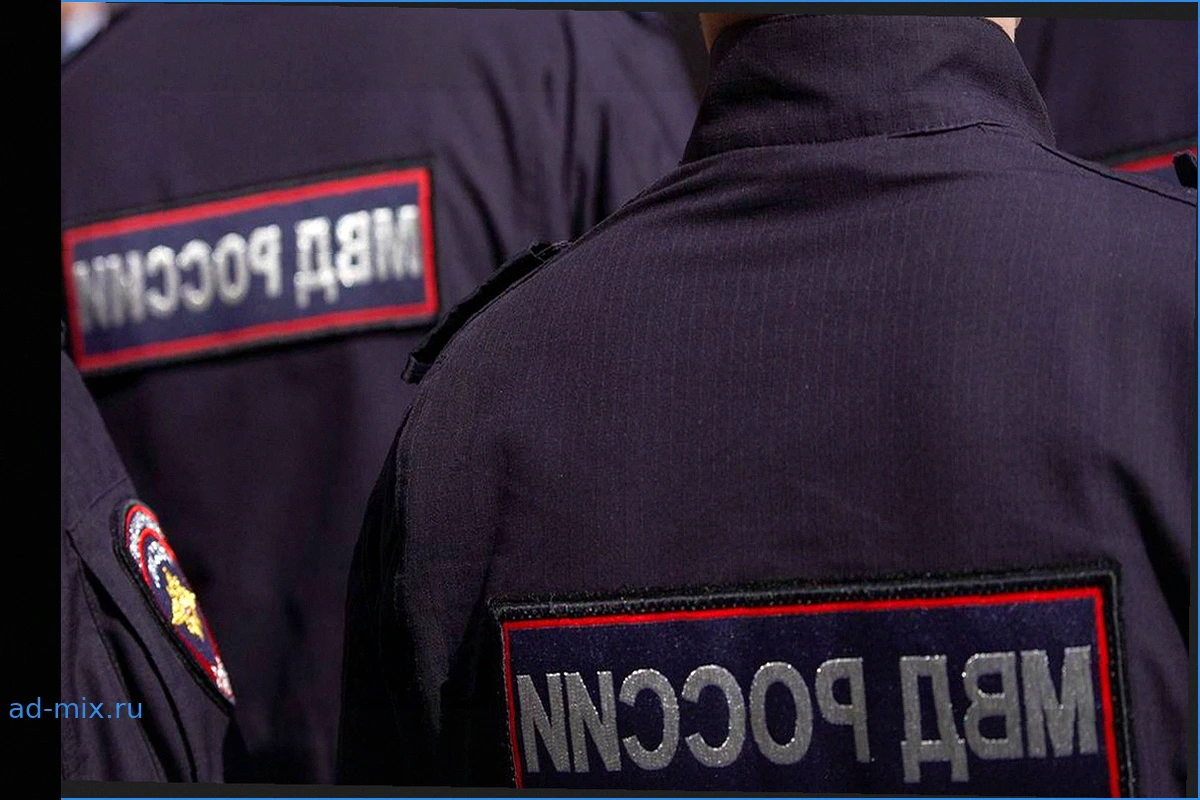 В Чечне расследуют нападение бойца ММА на двух женщин